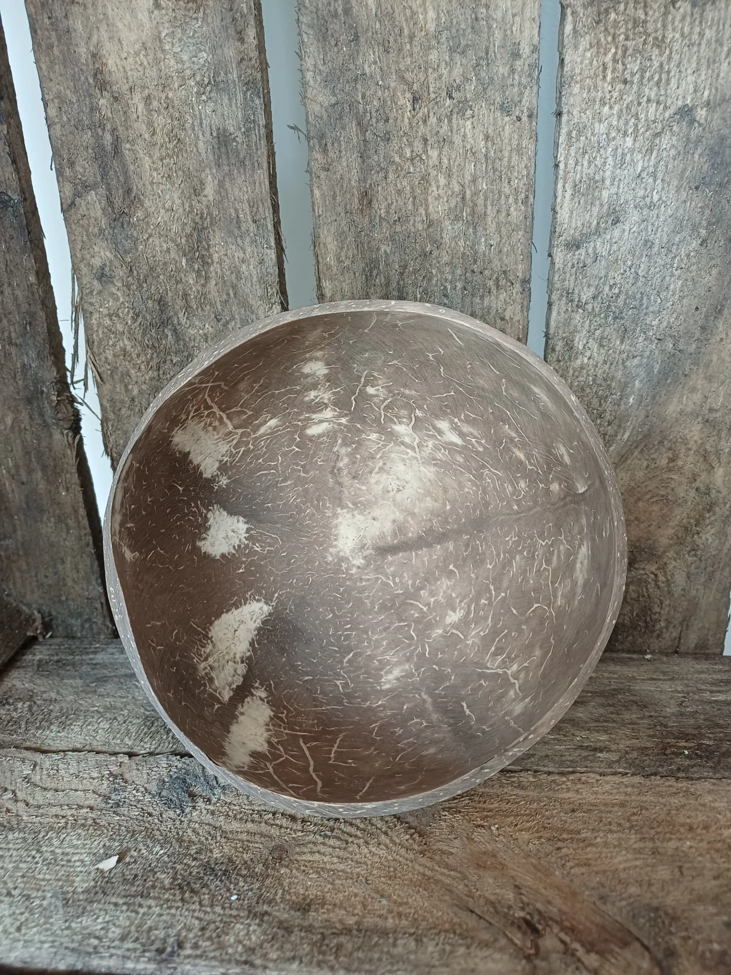 Demi Noix De Coco Boule Nuye Noix Nature