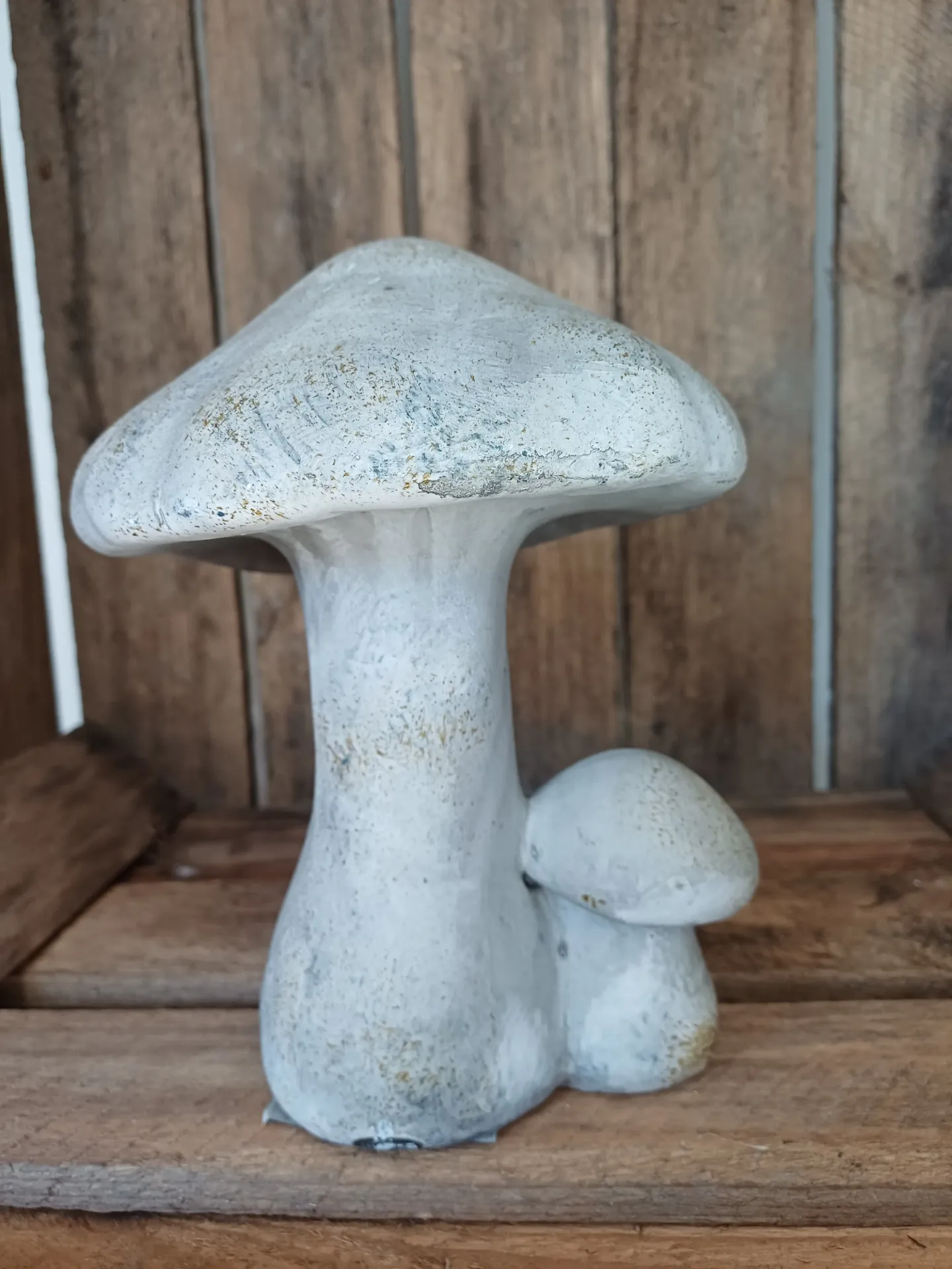 Décoration champignon